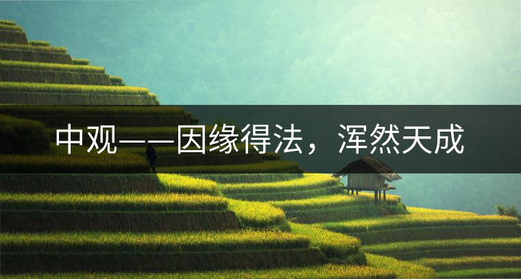 中觀——因緣得法，渾然天成