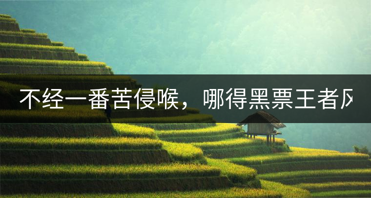不經(jīng)一番苦侵喉，哪得黑票王者風(fēng)！