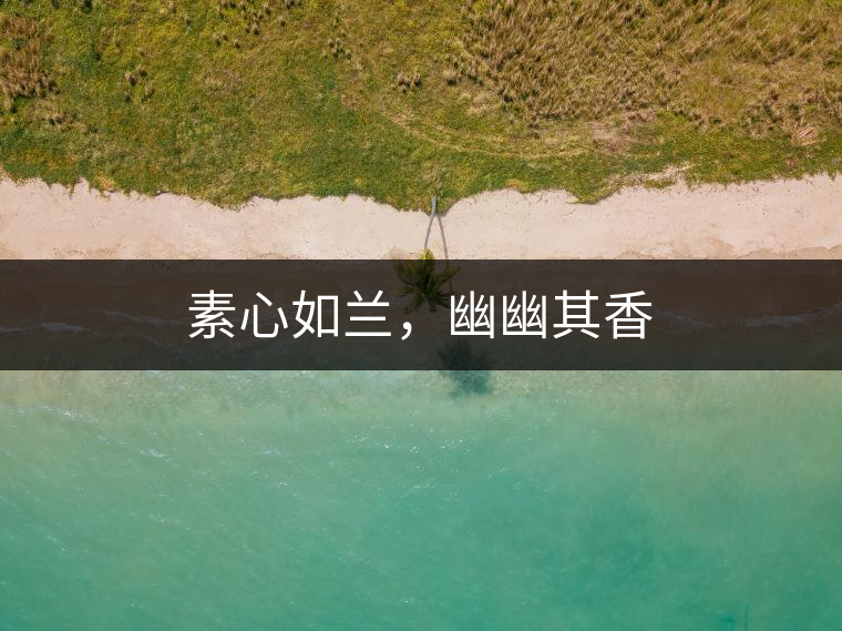 素心如蘭，幽幽其香