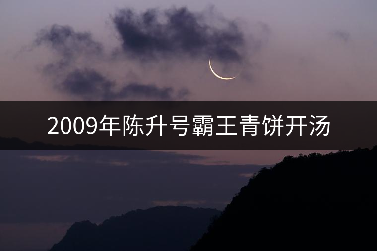 2009年陳升號霸王青餅開湯 2009年陳升號霸王青餅開湯