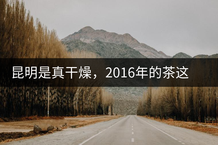 昆明是真干燥，2016年的茶這個湯色就