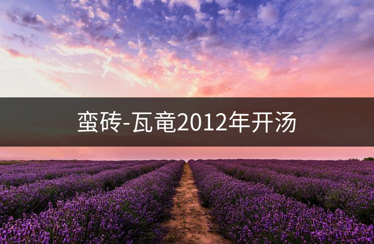 蠻磚-瓦竜2012年開湯