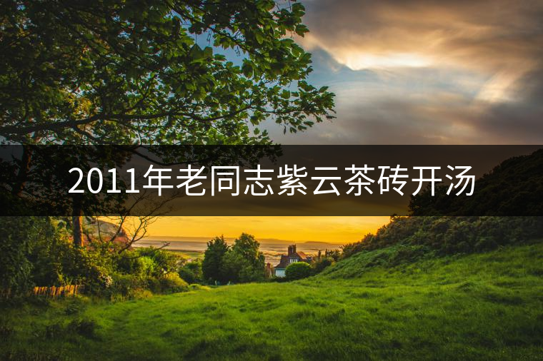 2011年老同志紫云茶磚開湯 2011年老同志紫云茶磚開湯