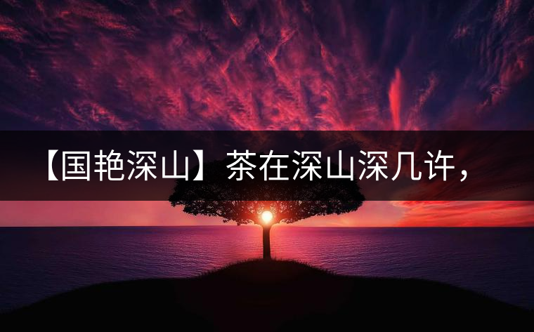 【國艷深山】茶在深山深幾許，布朗味釅釅幾分！