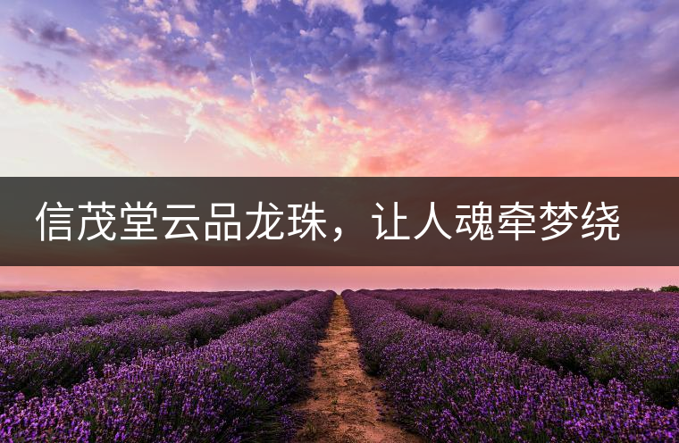 信茂堂云品龍珠，讓人魂?duì)繅?mèng)繞的尤物