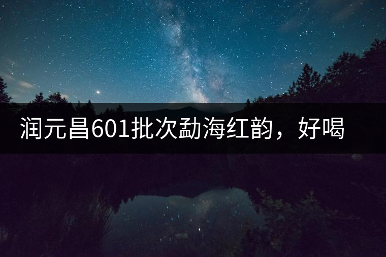 潤元昌601批次勐海紅韻，好喝不貴的口糧熟茶