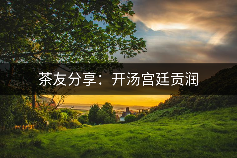 茶友分享:開湯宮廷貢潤 茶友分享:開湯宮廷貢潤
