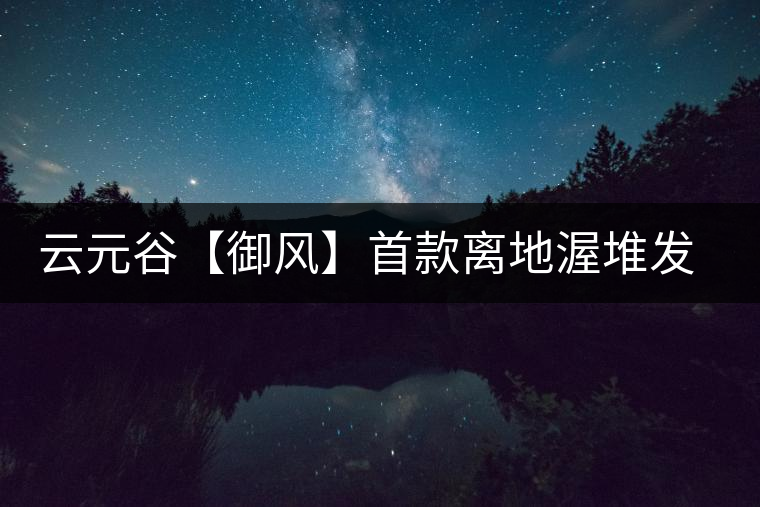 云元谷【御風(fēng)】首款離地渥堆發(fā)酵熟茶開(kāi)湯品飲