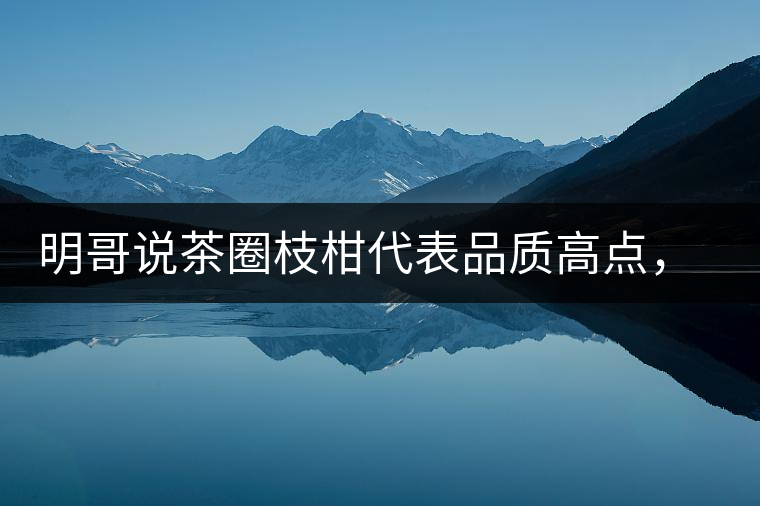 明哥說茶圈枝柑代表品質(zhì)高點(diǎn)，是玩家級(jí)的產(chǎn)品