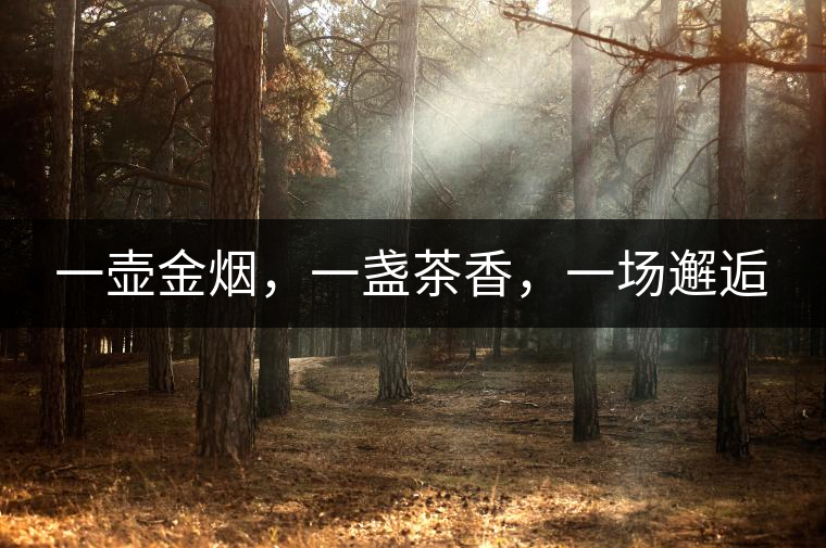 一壺金煙，一盞茶香，一場(chǎng)邂逅