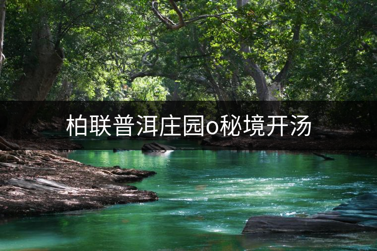 柏聯(lián)普洱莊園o秘境開(kāi)湯 柏聯(lián)普洱莊園o秘境開(kāi)湯