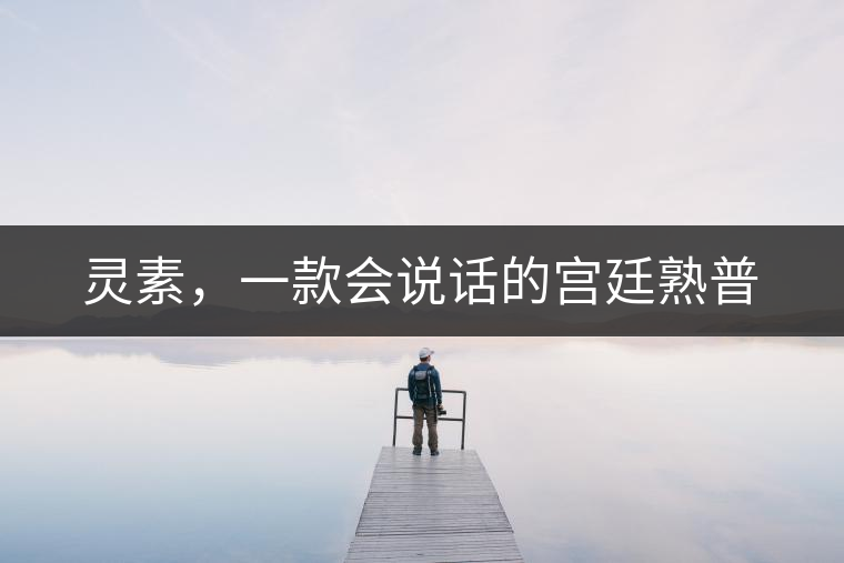 靈素，一款會說話的宮廷熟普