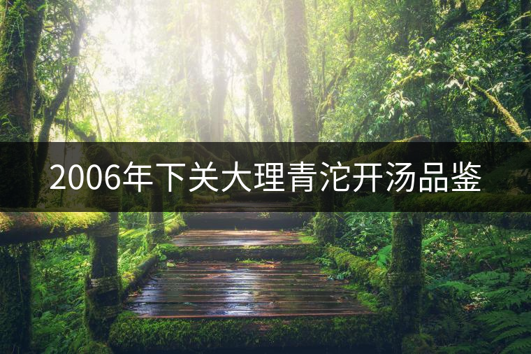 2006年下關(guān)大理青沱開湯品鑒