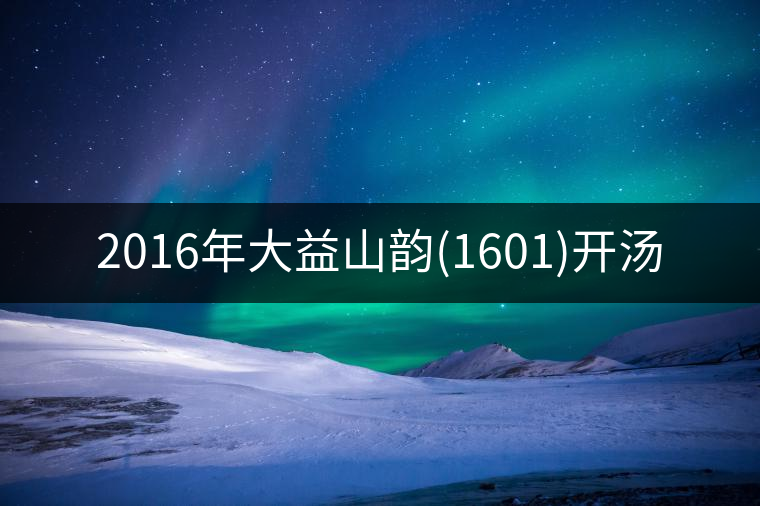 2016年大益山韻(1601)開湯