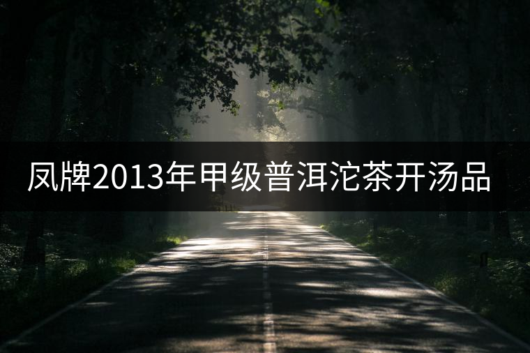 鳳牌2013年甲級(jí)普洱沱茶開(kāi)湯品鑒