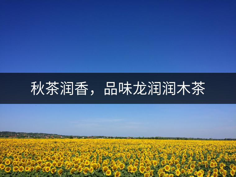 秋茶潤香，品味龍潤潤木茶