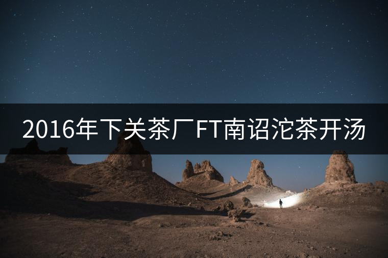 2016年下關(guān)茶廠FT南詔沱茶開(kāi)湯 2016年下關(guān)茶廠FT南詔沱茶開(kāi)湯