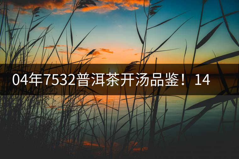 04年7532普洱茶開湯品鑒！14年轉(zhuǎn)化，經(jīng)典雪印配方！