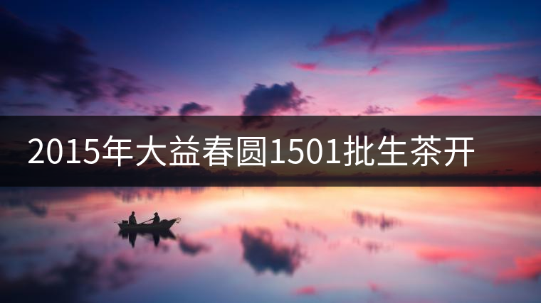 2015年大益春圓1501批生茶開湯品鑒