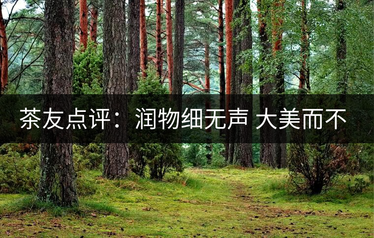 茶友點評：潤物細(xì)無聲 大美而不言——潤元昌大美之春熟茶