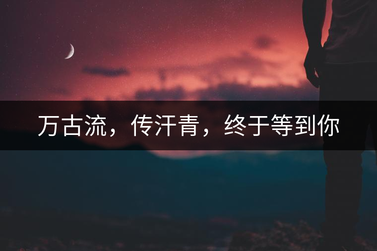 萬(wàn)古流，傳汗青，終于等到你