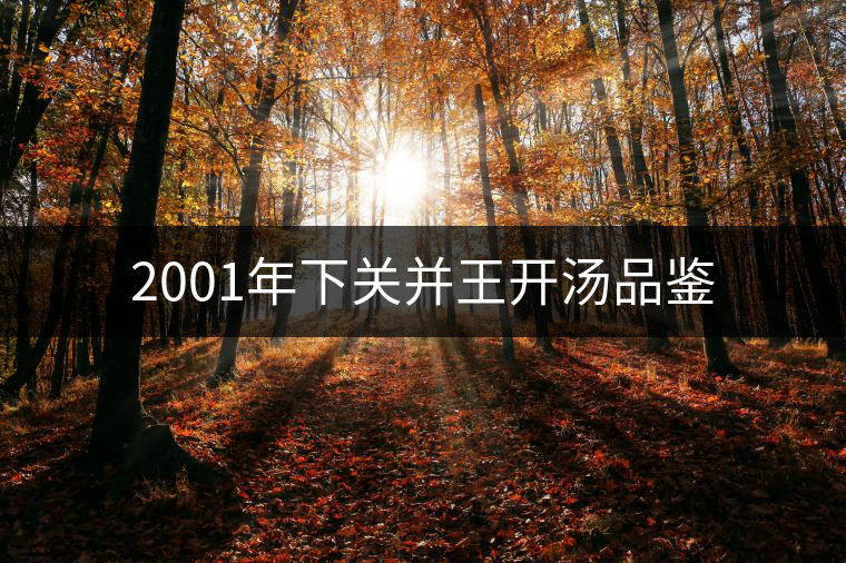 2001年下關(guān)并王開(kāi)湯品鑒