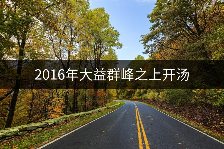 2016年大益群峰之上開湯
