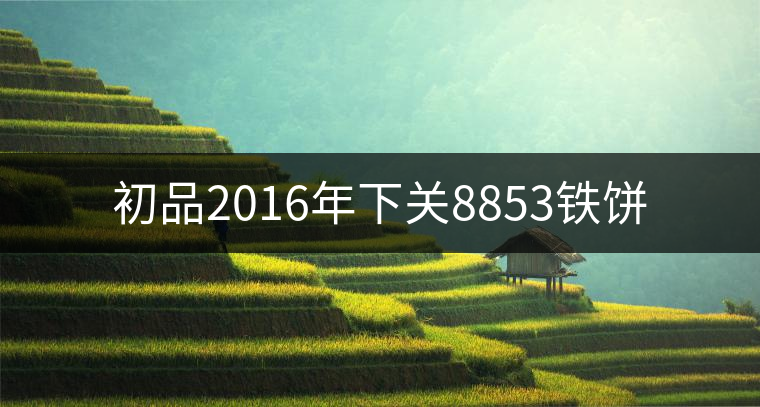 初品2016年下關(guān)8853鐵餅