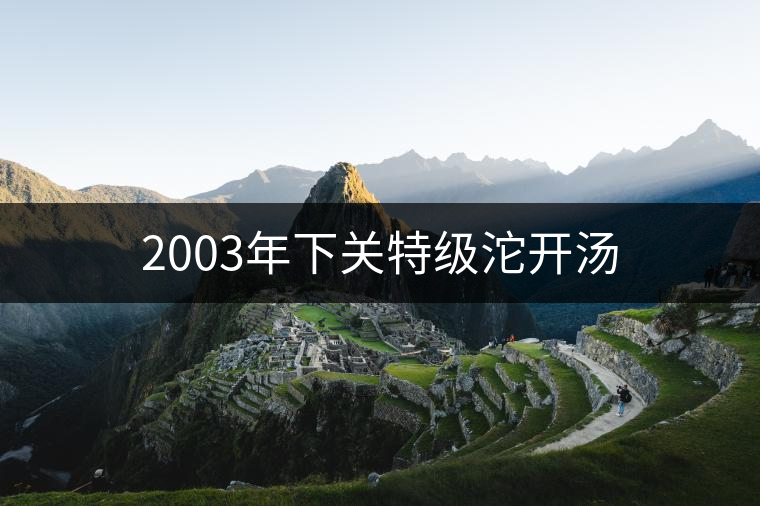 2003年下關(guān)特級沱開湯