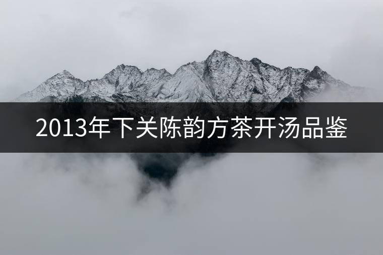 2013年下關(guān)陳韻方茶開湯品鑒 2013年下關(guān)陳韻方茶開湯品鑒