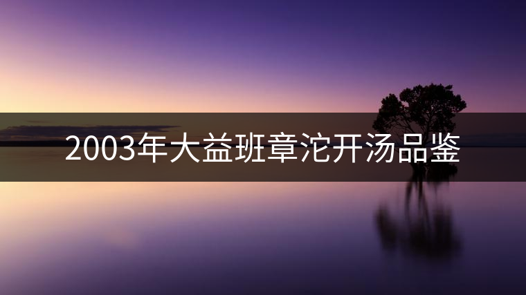 2003年大益班章沱開(kāi)湯品鑒