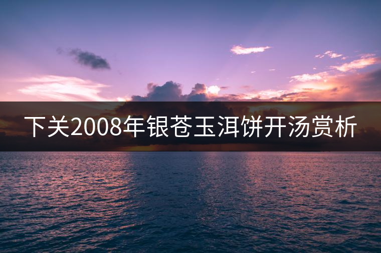 下關(guān)2008年銀蒼玉洱餅開湯賞析