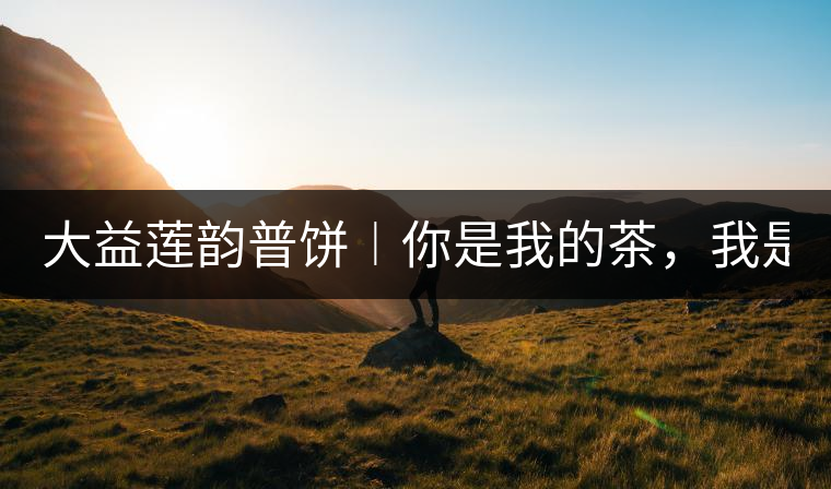 大益蓮韻普餅︱你是我的茶，我是你的人！
