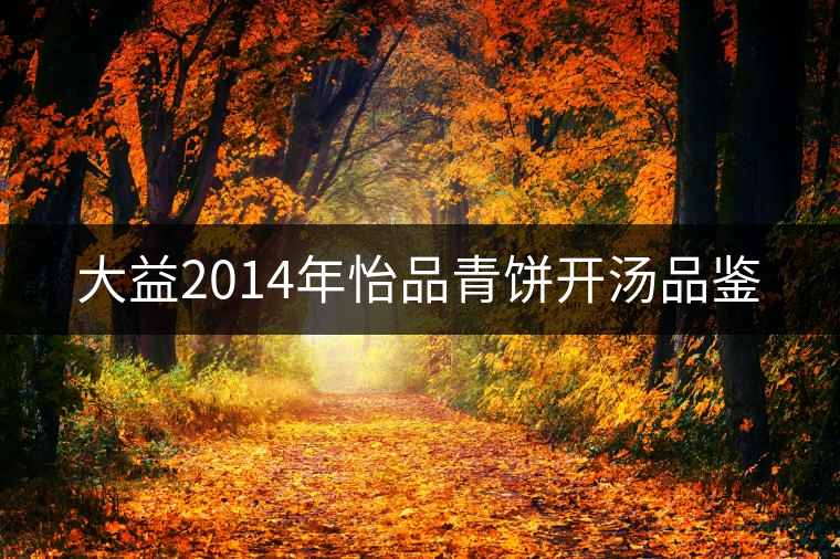 大益2014年怡品青餅開湯品鑒 大益2014年怡品青餅開湯品鑒