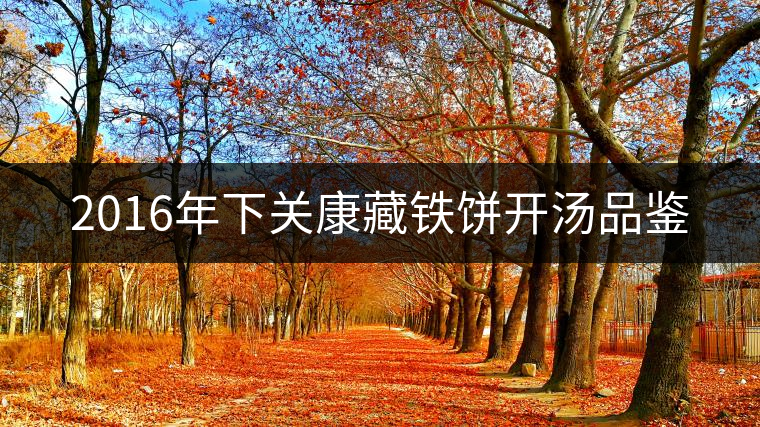 2016年下關(guān)康藏鐵餅開湯品鑒