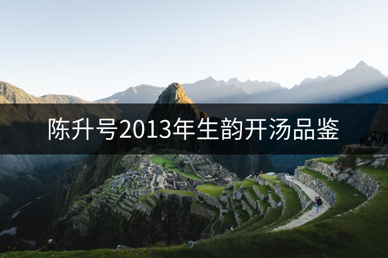 陳升號(hào)2013年生韻開湯品鑒 陳升號(hào)2013年生韻開湯品鑒