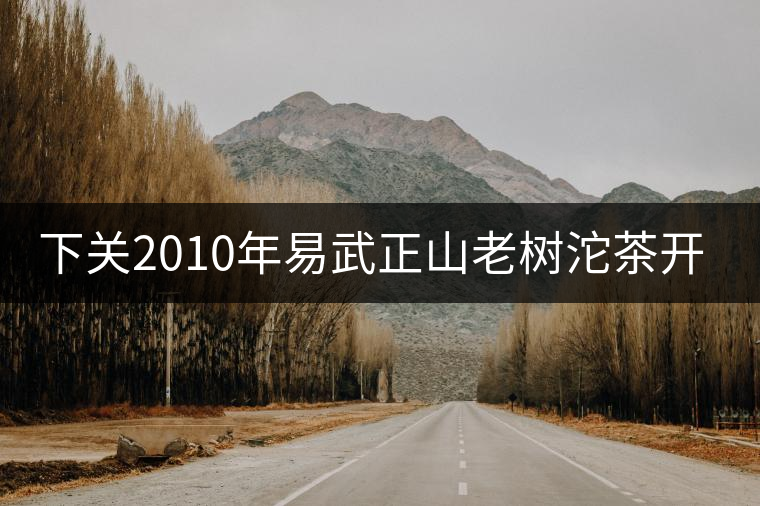下關(guān)2010年易武正山老樹沱茶開湯 下關(guān)2010年易武正山老樹沱茶開湯