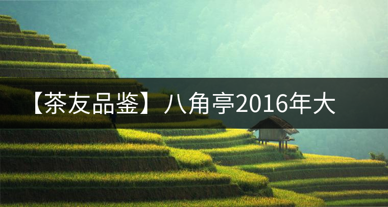 【茶友品鑒】八角亭2016年大典景邁開(kāi)湯