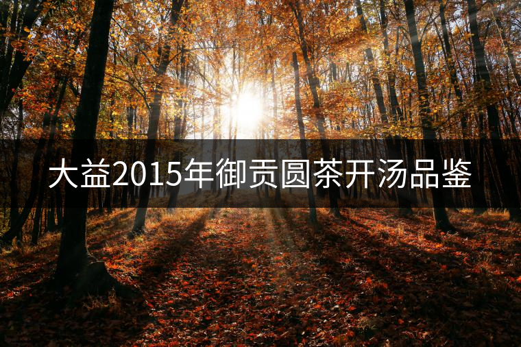 大益2015年御貢圓茶開湯品鑒