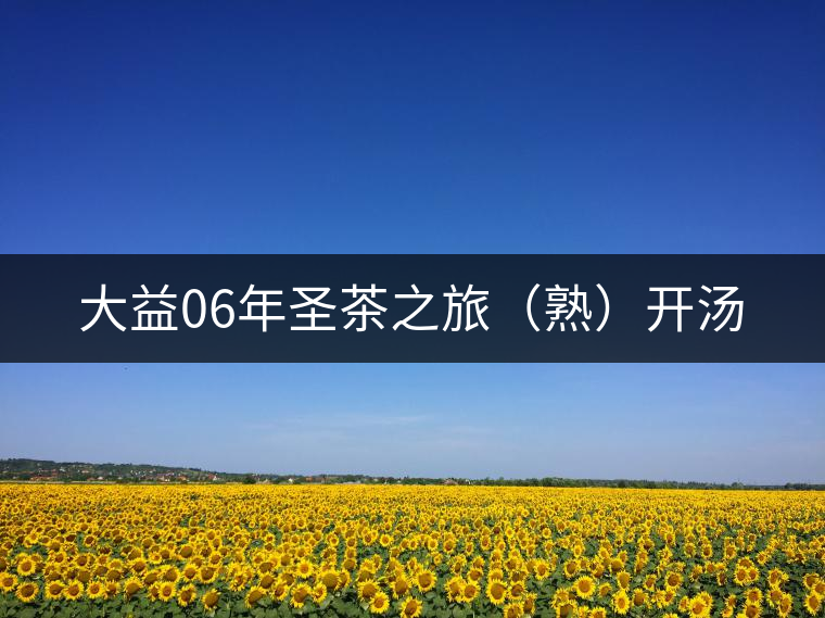 大益06年圣茶之旅（熟）開湯
