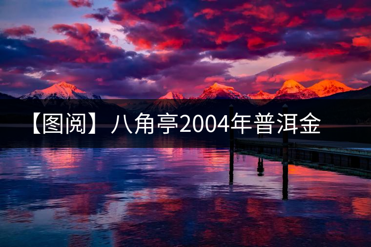 【圖閱】八角亭2004年普洱金毫開(kāi)湯