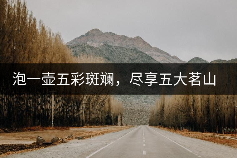 泡一壺五彩斑斕，盡享五大茗山之味