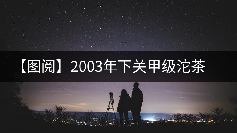 【圖閱】2003年下關甲級沱茶開湯品鑒