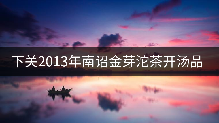 下關(guān)2013年南詔金芽沱茶開湯品鑒