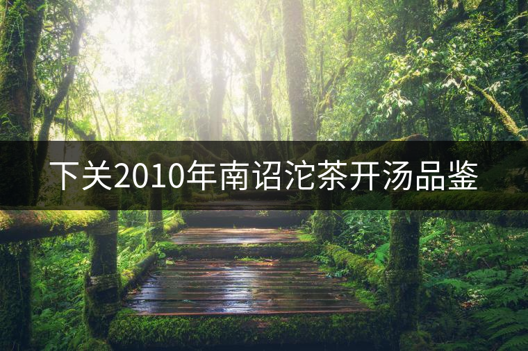 下關(guān)2010年南詔沱茶開湯品鑒 下關(guān)2010年南詔沱茶開湯品鑒