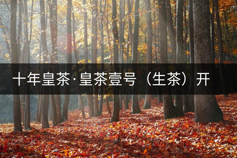 十年皇茶·皇茶壹號(hào)(生茶)開(kāi)湯品鑒 十年皇茶·皇茶壹號(hào)(生茶)開(kāi)湯品鑒