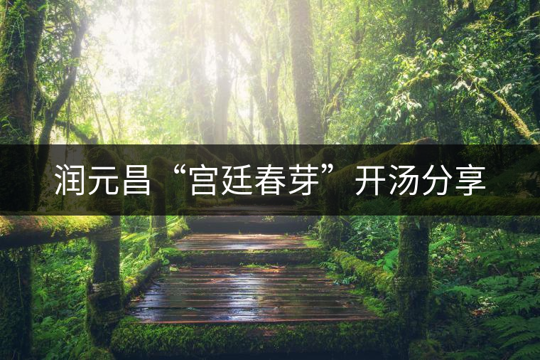潤(rùn)元昌“宮廷春芽”開湯分享