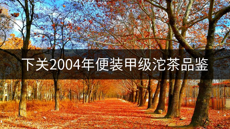 下關(guān)2004年便裝甲級沱茶品鑒