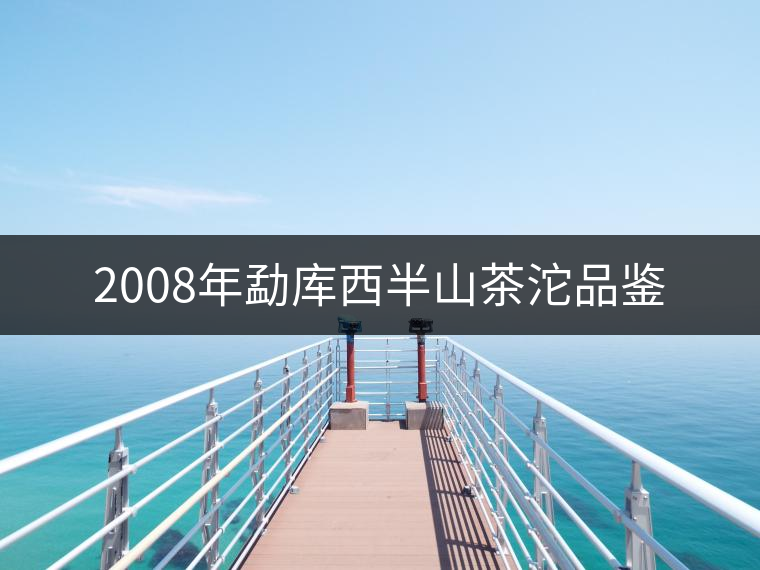 2008年勐庫西半山茶沱品鑒