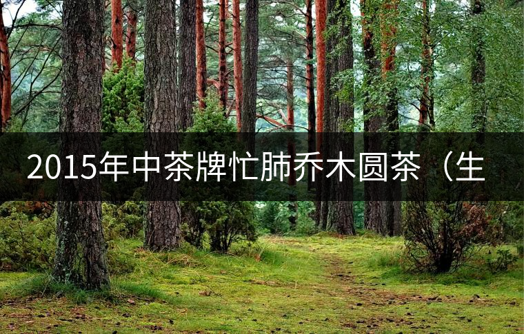 2015年中茶牌忙肺喬木圓茶（生茶）品評